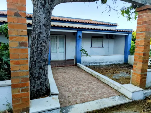 Quintinha com Casas e Comércio Independente – Santarém (Portela das Padeiras)