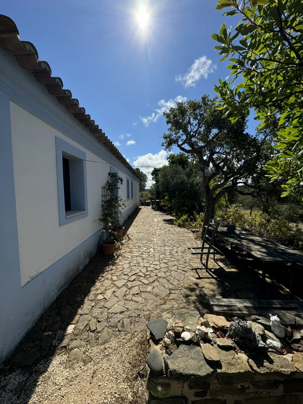Moradia T3 no campo, perto de Lagos com 15 ha - Negociável