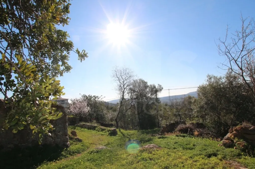 Ruína com 171m2 em terreno urbano com 468,5m2, vista serra e mar, entre São Brás de Alportel e Tavira