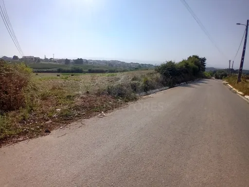 Terreno urbanizável 8.000 m² Alcobaça e Vestiaria, Alcobaça