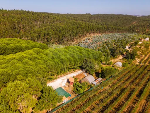 Terreno Agrícola na Fanadia | 16.100 m² de Potencial e Infraestruturas Preparadas
