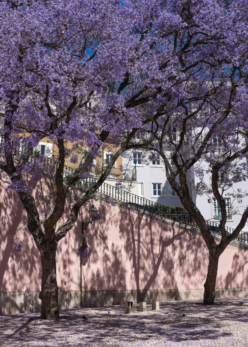 Fabuloso apartamento na Baixa