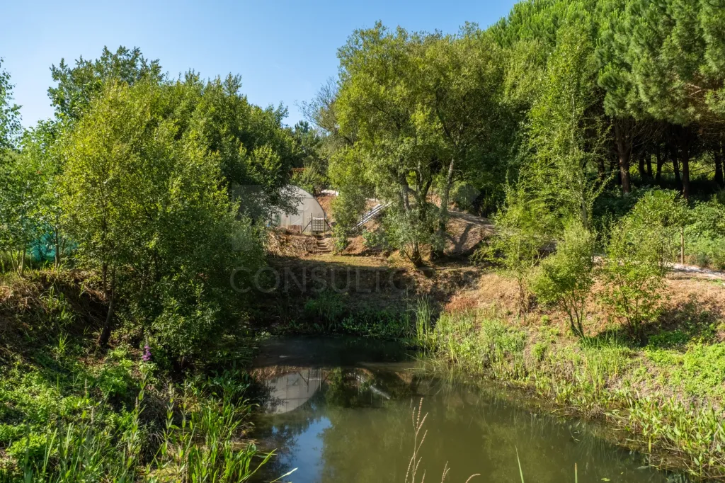 Terreno Agrícola na Fanadia | 16.100 m² de Potencial e Infraestruturas Preparadas