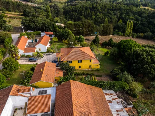 Propriedade única, a apenas 2 km de Alcobaça, com mais de 30.000 m² de terreno