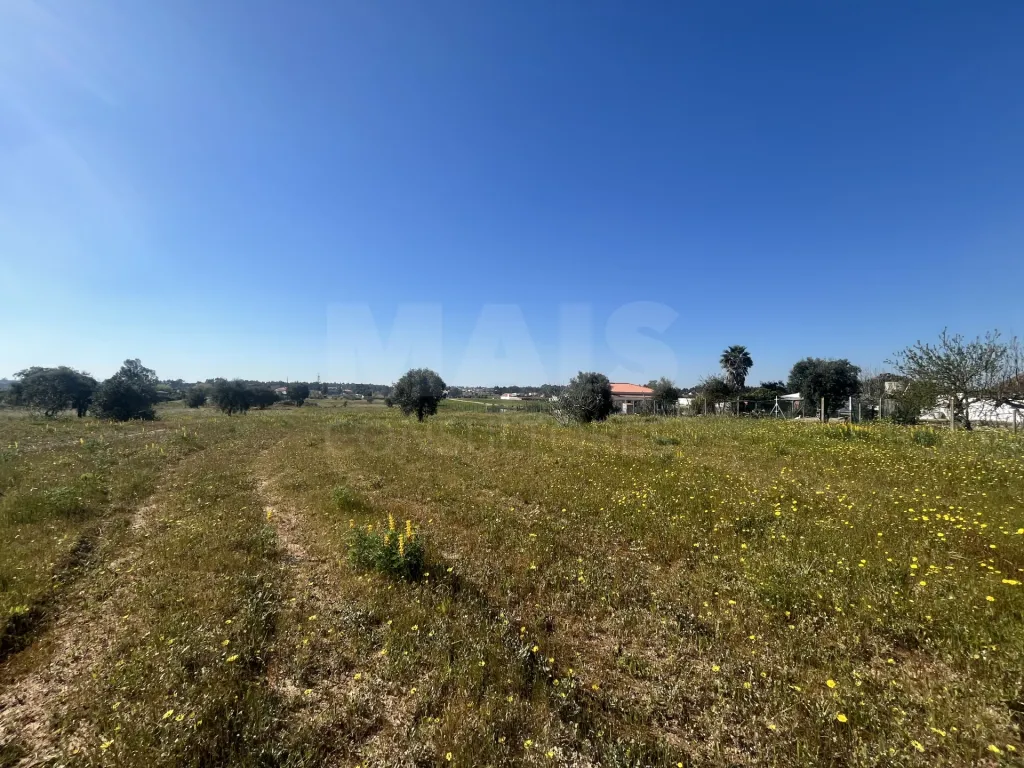 Land 12000m2 in Foros da Charneca