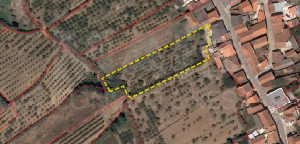 Terreno no centro da Usseira