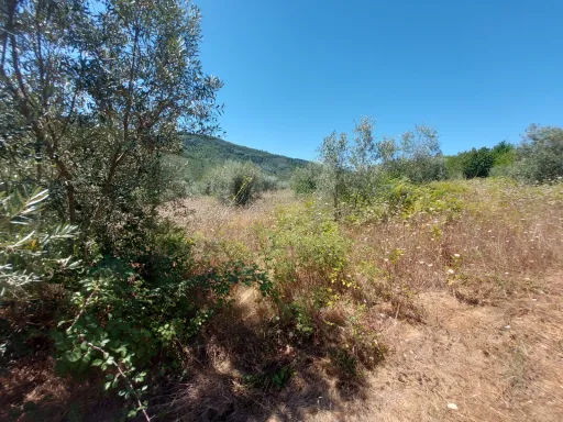 Rustic land with 2425m2 Pisão - Côja.
