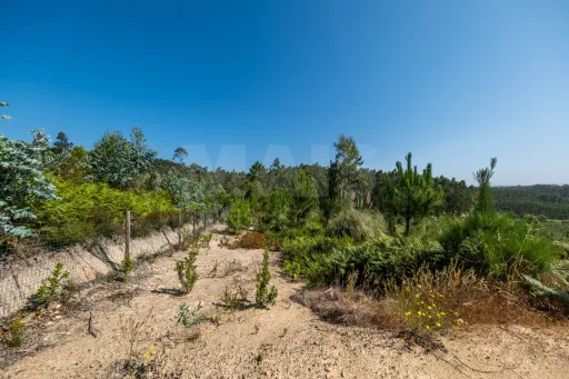 Terreno Agrícola na Fanadia | 16.100 m² de Potencial e Infraestruturas Preparadas