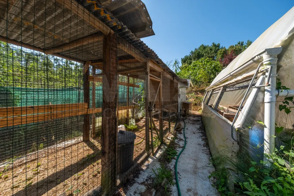 Terreno Agrícola na Fanadia | 16.100 m² de Potencial e Infraestruturas Preparadas
