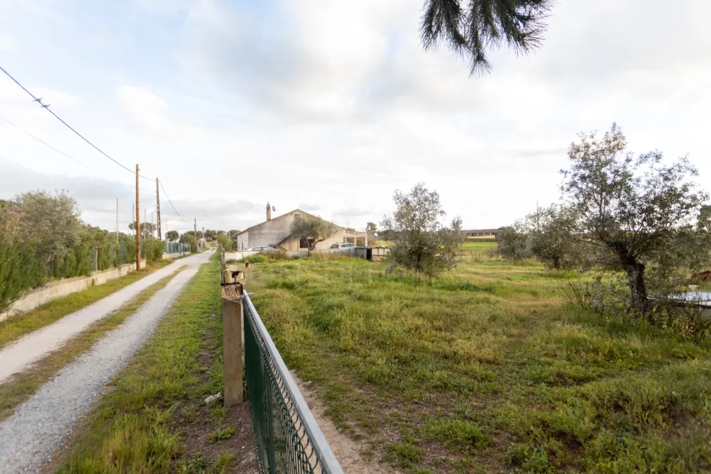 Moradia Térrea V3 com terreno urbano de 3780m2 no Alentejo