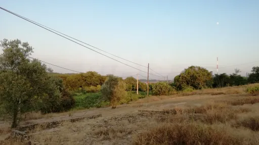 Quinta com moradia para recuperar na zona de Abrantes
