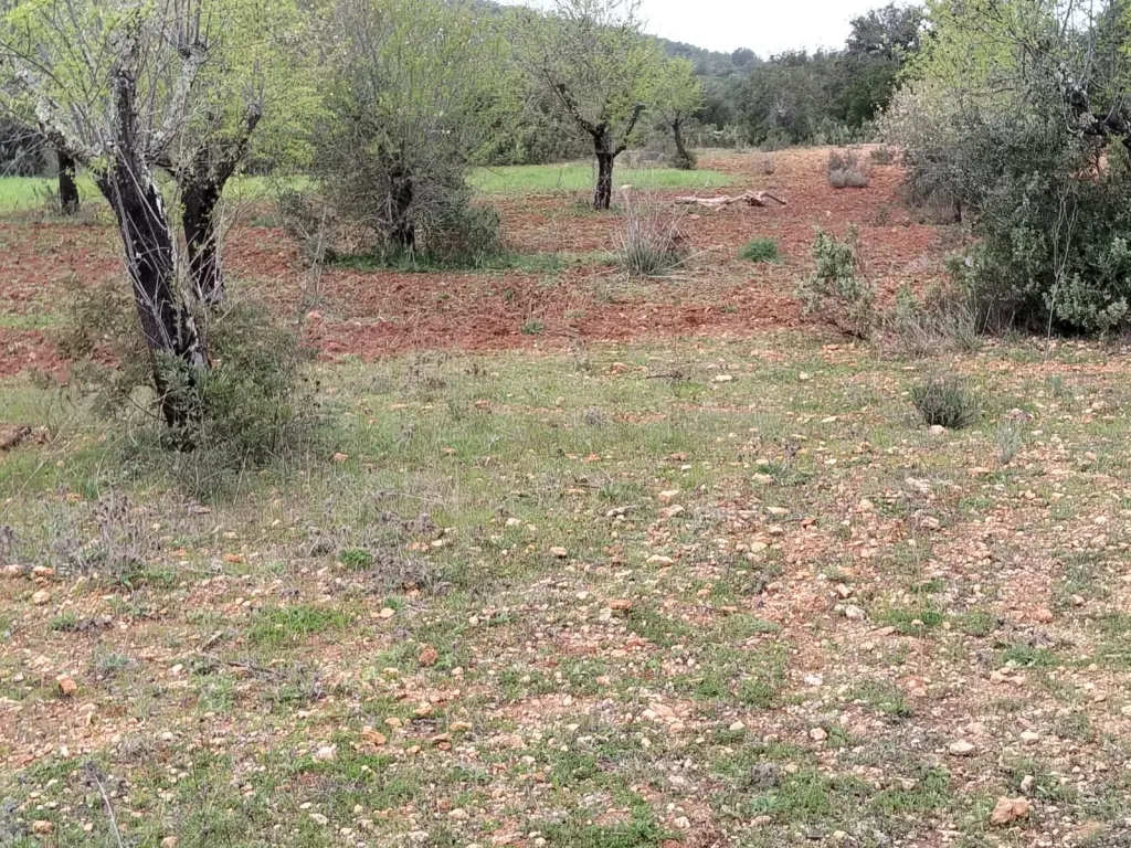 Lote de Terreno Rustico