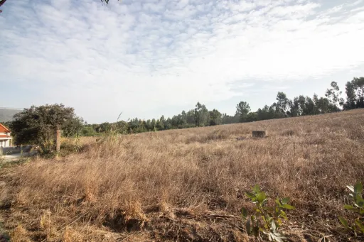 🌳 Terreno Misto – Surraipas, Freguesia de Olhalvo (Alenquer)