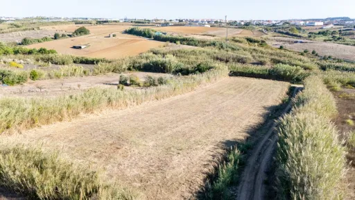 Terreno Rústico com 3.600 m² em Atouguia da Baleia