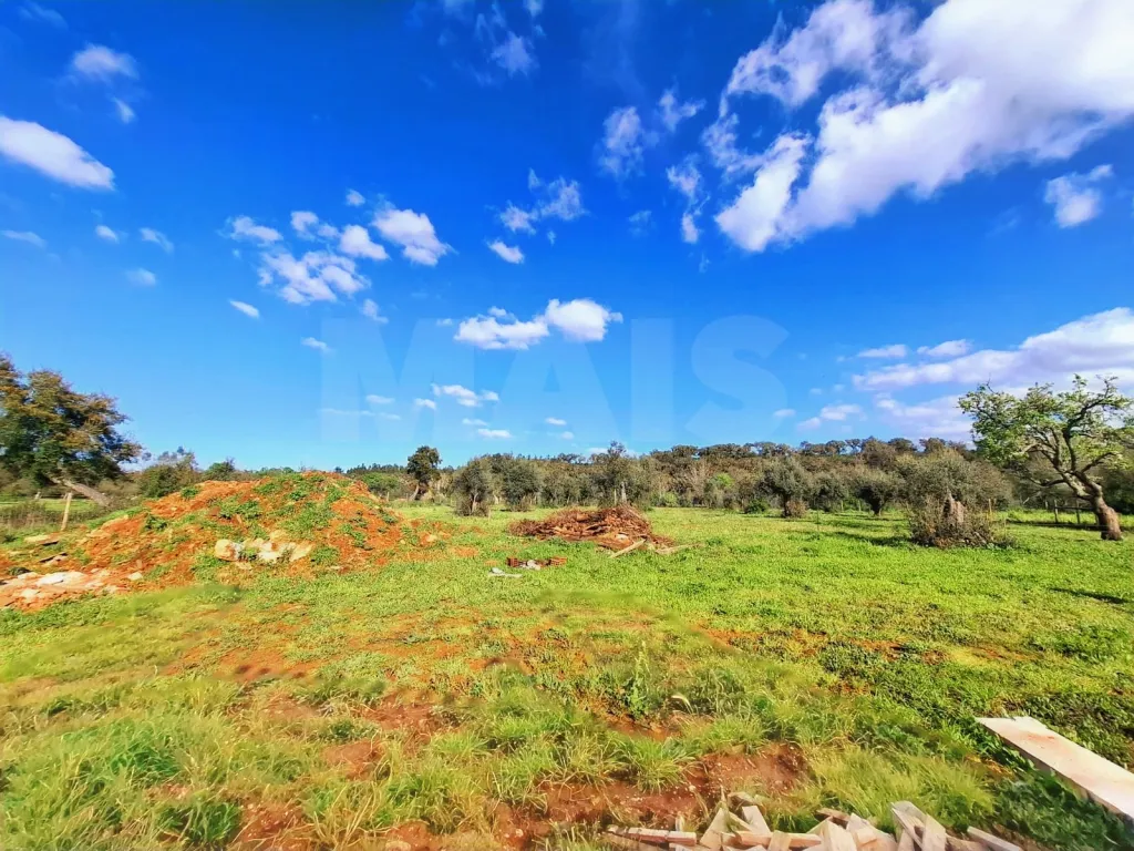 Quinta T4 com 9 mil m2 em Santiago do Cacém, Cercal do Alentejo