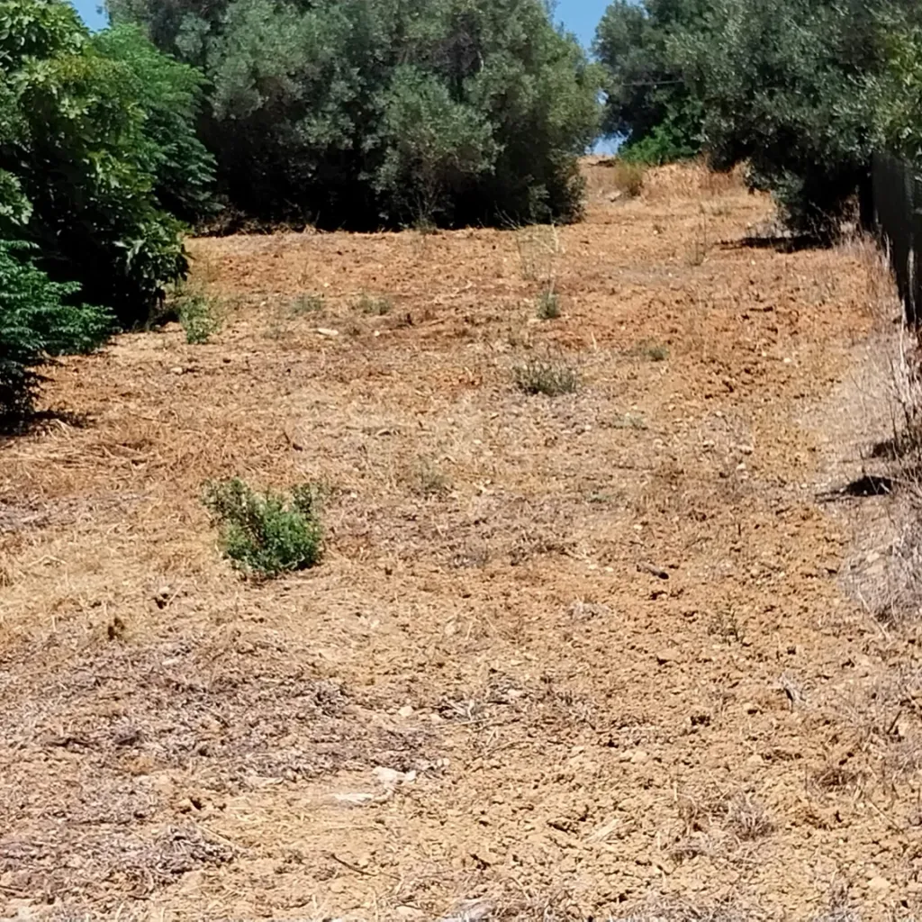 Lote de Terreno Rustico junto á Estrada Nacional 125