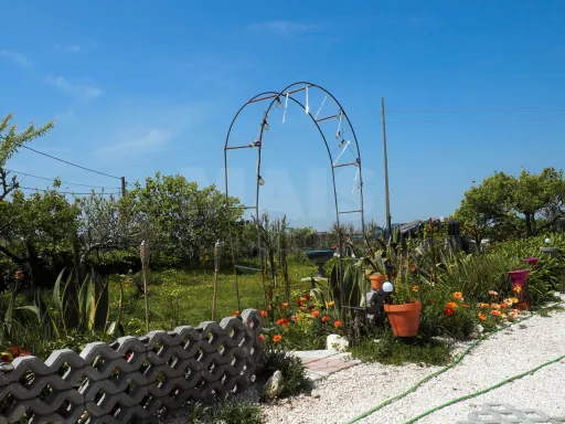 Moradia T2 na Cela com um excelente espaço exterior