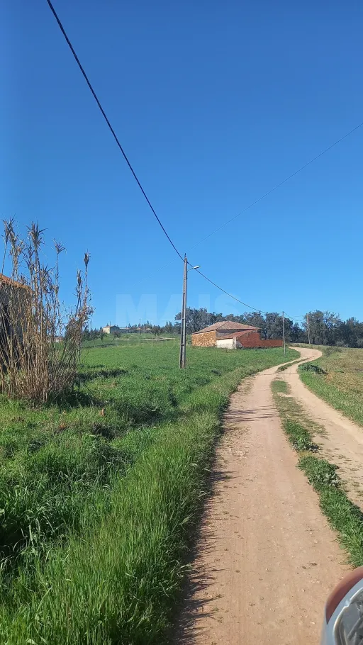 Herdade de 30 hectares em Cercal do Alentejo, Santiago do Cacém, Setúbal