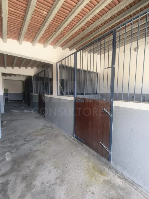 Propriedade com Piscina e Instalações Equestres – Um Refúgio Tranquilo com Potencial de Expansão
