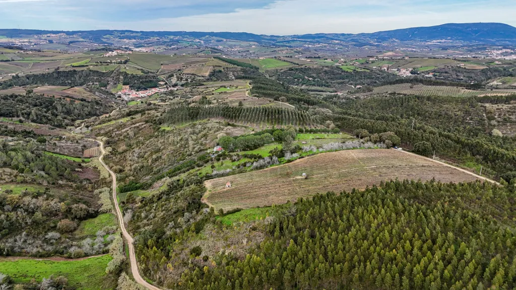 Terreno rustico na Pipa