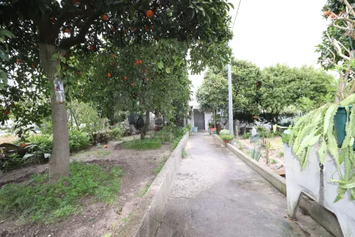 Moradia Térrea T2+1 com Garagem, sótão e terreno com 500 m2 em Vale Mansos, Coruche