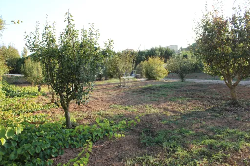 Plot with approved project for a villa ready to be built.