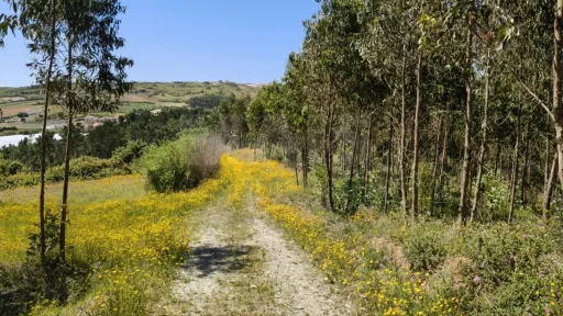 Terreno Rústico c/ 8.440m2
