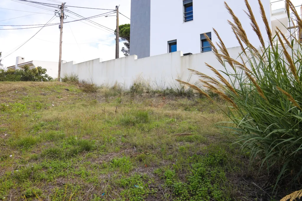Lote Urbano na Apelação para Moradia.