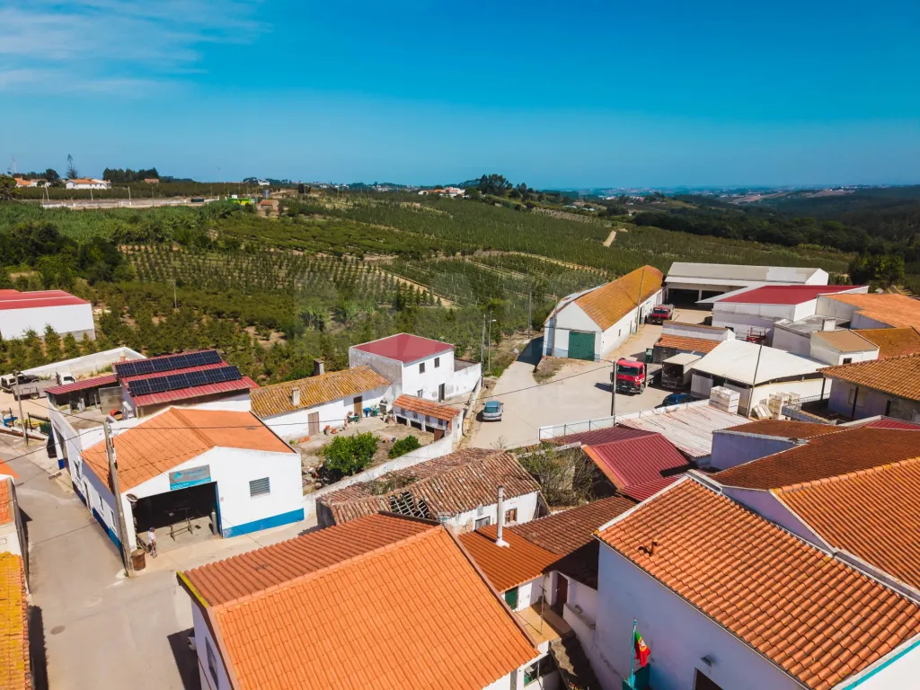 2 Moradias num terreno de 6117m2 | Carvalhal | Bombarral