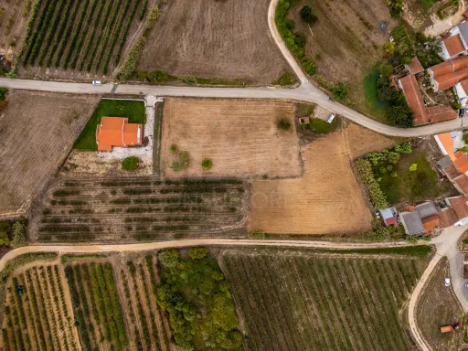 Traditional single-storey house T4 with 4040m2 of land