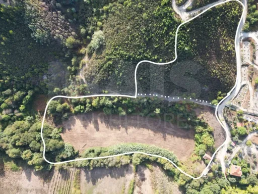 Ruina com Terreno em Pisão / Côja.