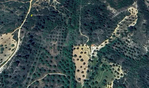Terreno Rustico Ribeira Ruiva TORRES NOVAS