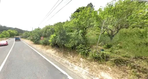 Terreno na Serra de Casal de Cambra