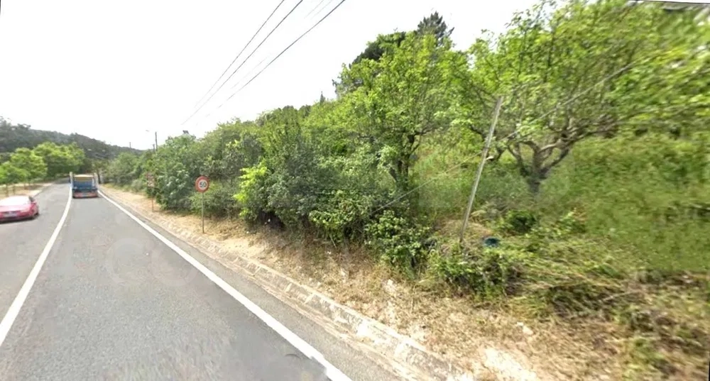 Terreno na Serra de Casal de Cambra