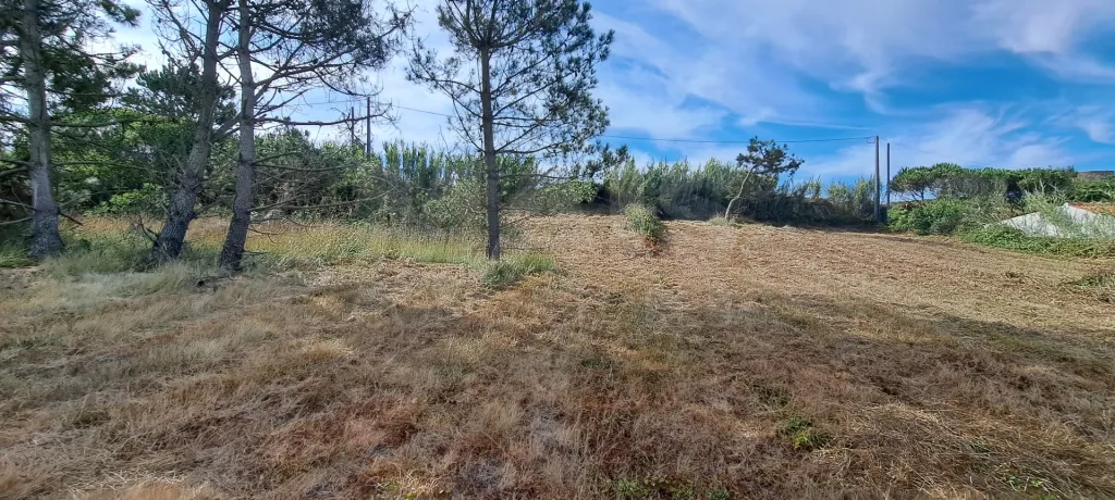 2 Lotes de Terreno (Rústicos) Serra dos Mangues, São Martinho do Porto