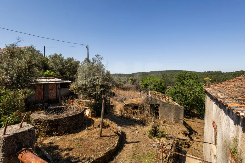 PROPRIEDADE DE CARÁTER NA N2 | 400 m² DE CONSTRUÇÃO, OLIVAL E POTENCIAL TURÍSTICO