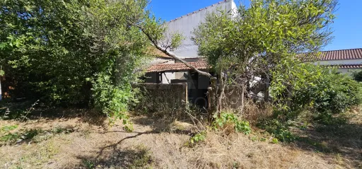 Moradia 2 Pisos centro Peroviseu c/ Terreno 500m2 e Garagem