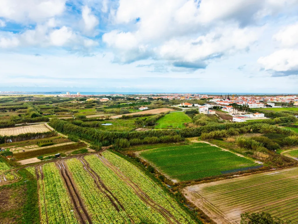 Terreno Rústico – Pombeira, Ferrel (Peniche)