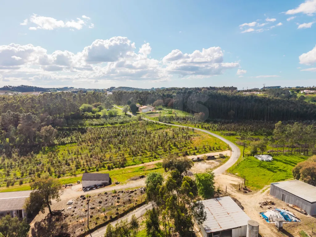 Moradia para remodelar em terreno com 1.809m2