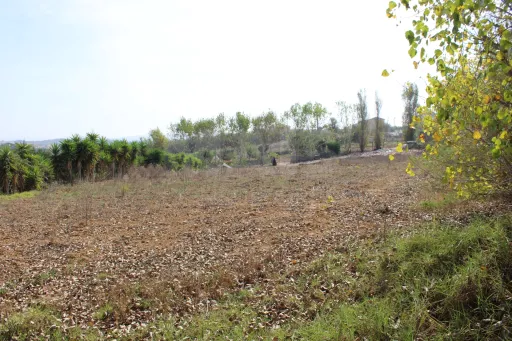 Terreno rustico inserido na sua totalidade na malha urbana.