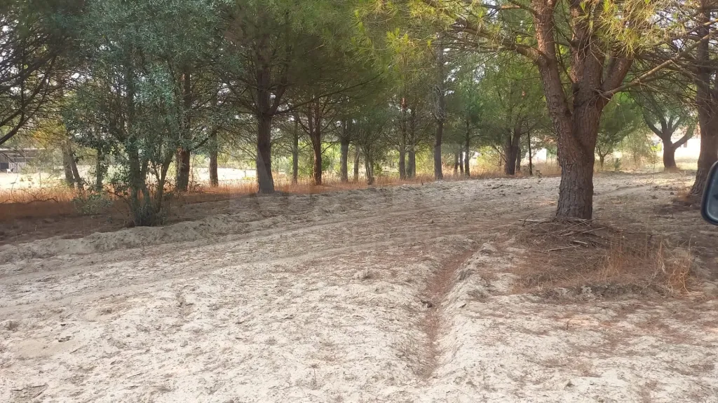 Terreno de 7.050 m² com pequeno armazém a Apenas 1 Hora de Lisboa
