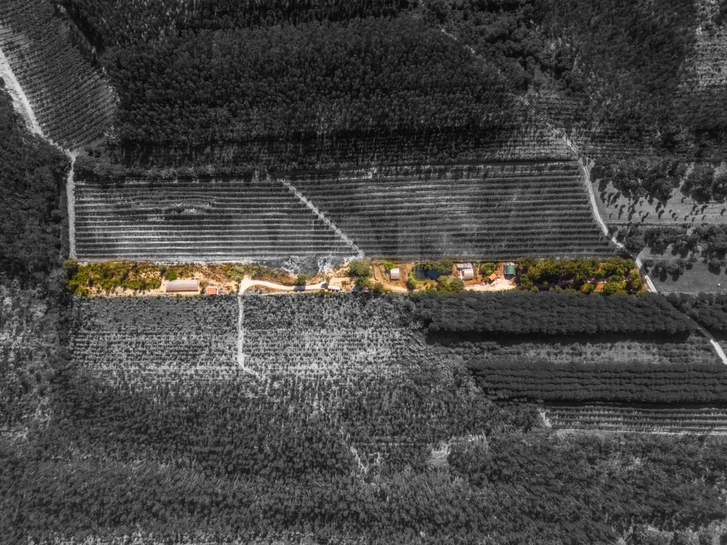 Terreno Agrícola na Fanadia | 16.100 m² de Potencial e Infraestruturas Preparadas