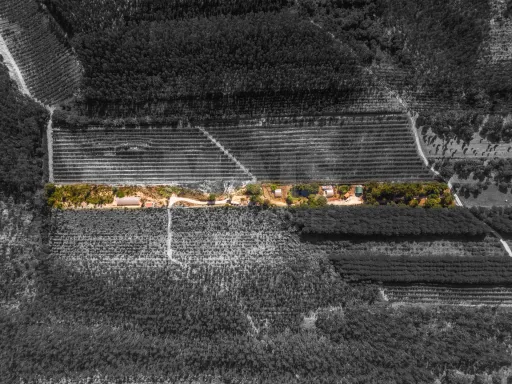 Terreno Agrícola na Fanadia | 16.100 m² de Potencial e Infraestruturas Preparadas