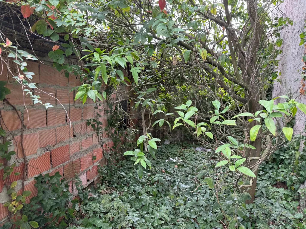 Ruins in Olho Marinho