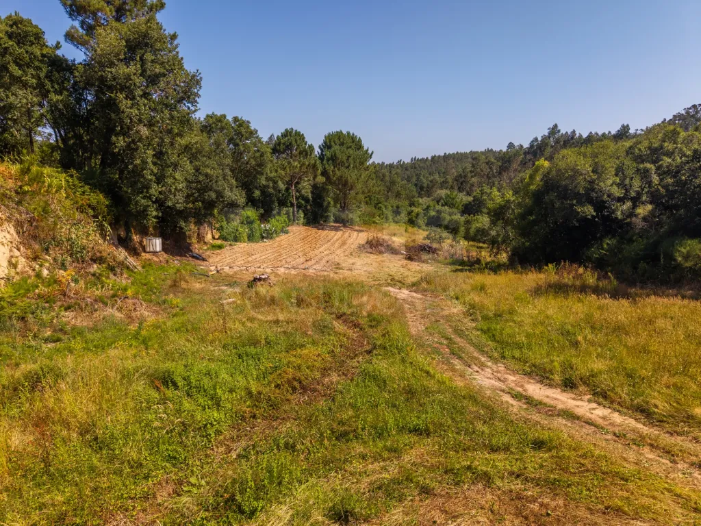 Quinta com mais de 23.000 m², piscina de água salgada e potencial de construção