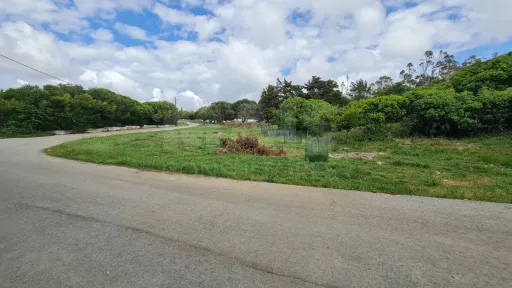 Terreno com 1 520m²  em Cezaredas – Oportunidade Única!