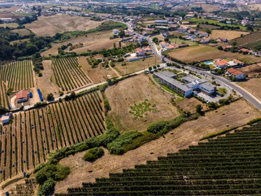 Terreno urbanizável- Zona Oeste Alcobaça