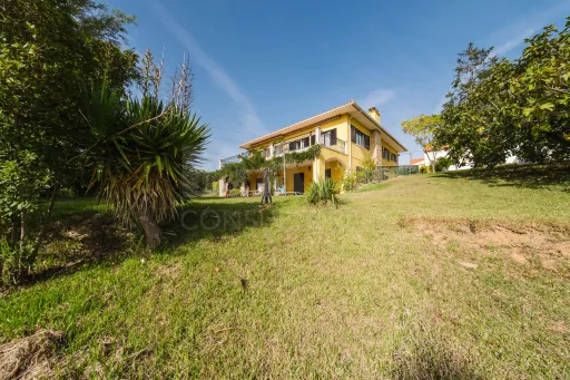 Propriedade única, a apenas 2 km de Alcobaça, com mais de 30.000 m² de terreno