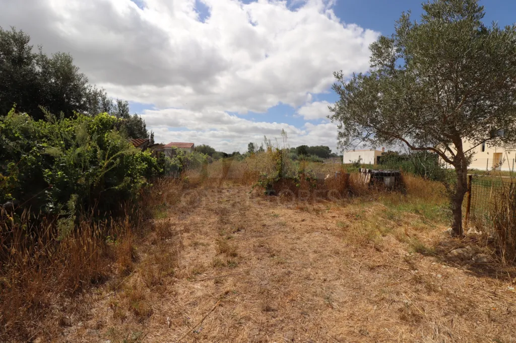 Terreno Rustico com 6240m2 em Salvaterra Magos