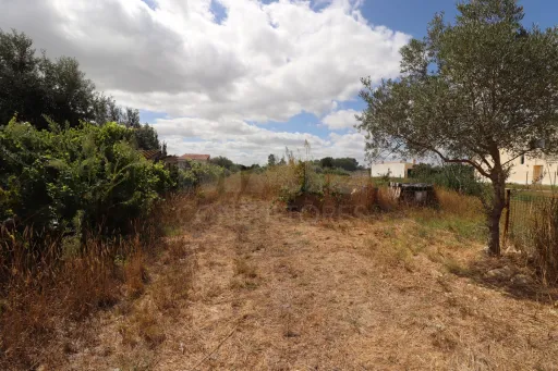 Terreno Rustico com 6240m2 em Salvaterra Magos